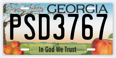 GA license plate PSD3767