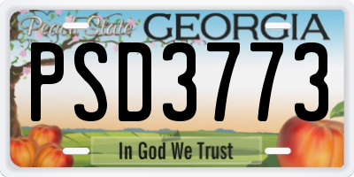 GA license plate PSD3773
