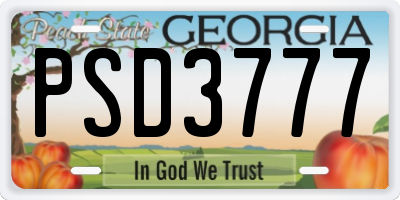 GA license plate PSD3777
