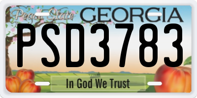 GA license plate PSD3783