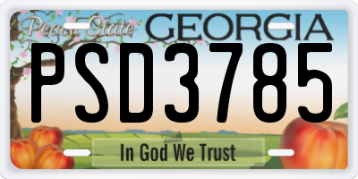 GA license plate PSD3785