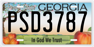 GA license plate PSD3787