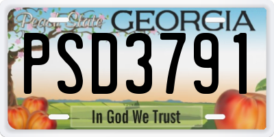 GA license plate PSD3791