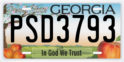 GA license plate PSD3793