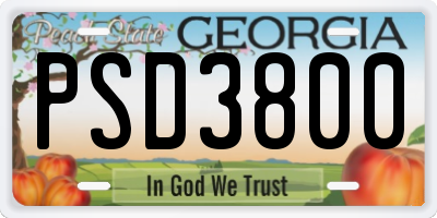 GA license plate PSD3800