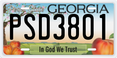 GA license plate PSD3801