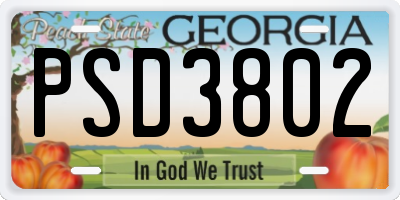 GA license plate PSD3802