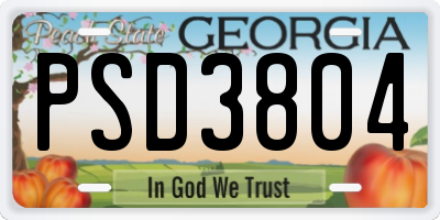 GA license plate PSD3804