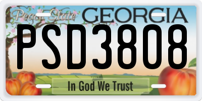 GA license plate PSD3808