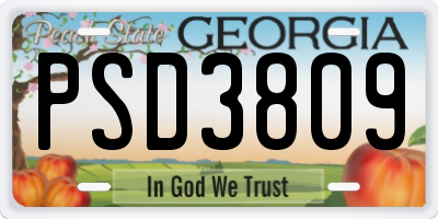 GA license plate PSD3809