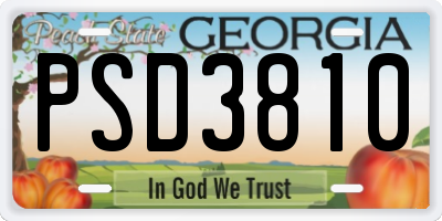 GA license plate PSD3810