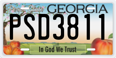 GA license plate PSD3811