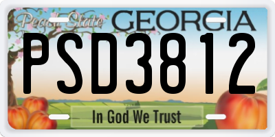 GA license plate PSD3812