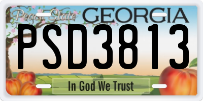 GA license plate PSD3813