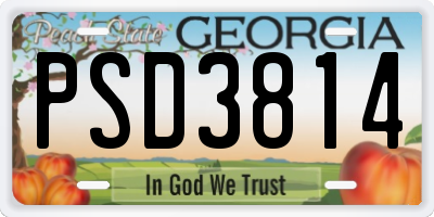 GA license plate PSD3814