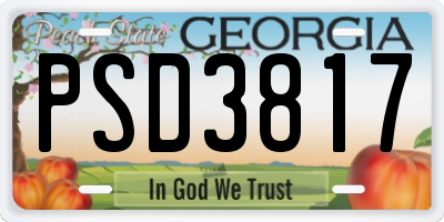 GA license plate PSD3817