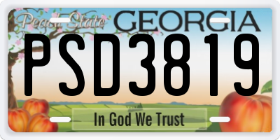 GA license plate PSD3819