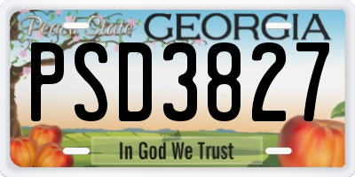 GA license plate PSD3827