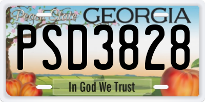 GA license plate PSD3828