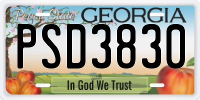GA license plate PSD3830