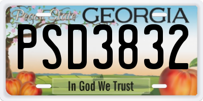 GA license plate PSD3832