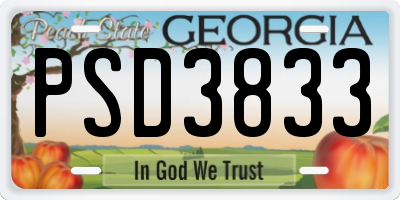 GA license plate PSD3833