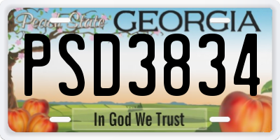 GA license plate PSD3834