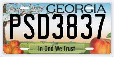 GA license plate PSD3837