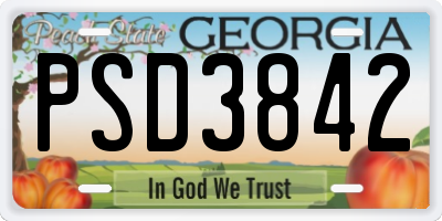 GA license plate PSD3842