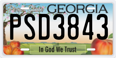 GA license plate PSD3843