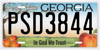GA license plate PSD3844