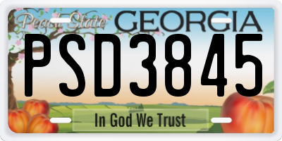 GA license plate PSD3845