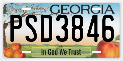 GA license plate PSD3846
