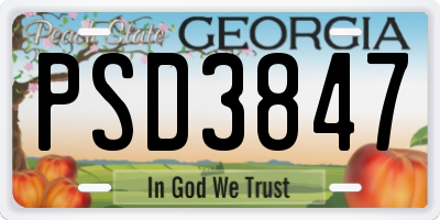 GA license plate PSD3847