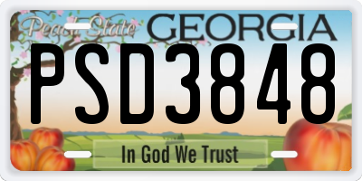 GA license plate PSD3848