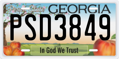 GA license plate PSD3849