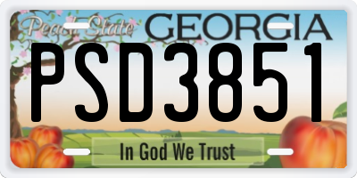 GA license plate PSD3851