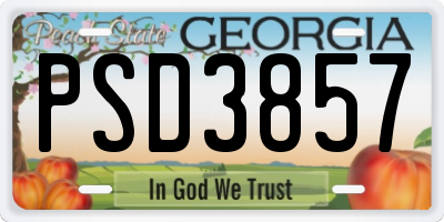 GA license plate PSD3857