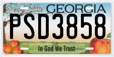 GA license plate PSD3858