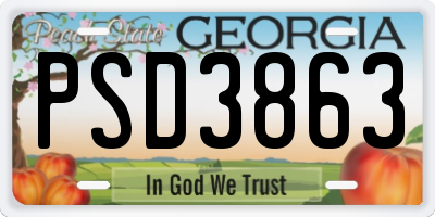 GA license plate PSD3863
