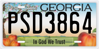 GA license plate PSD3864