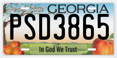 GA license plate PSD3865
