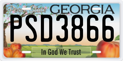 GA license plate PSD3866