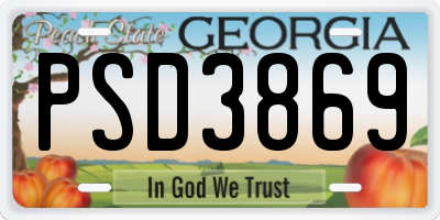 GA license plate PSD3869