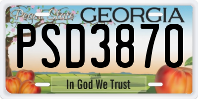 GA license plate PSD3870