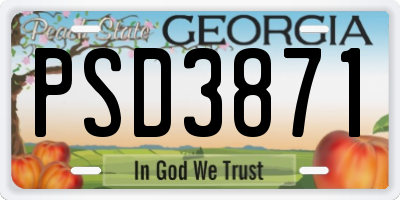 GA license plate PSD3871