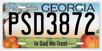GA license plate PSD3872