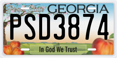 GA license plate PSD3874