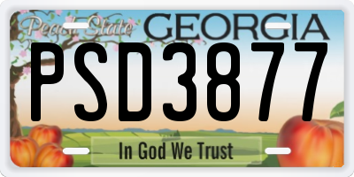GA license plate PSD3877