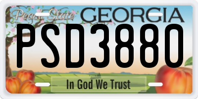 GA license plate PSD3880
